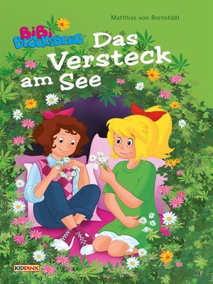 cover image of Bibi Blocksberg--Das Versteck am See